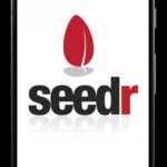 Seedr.cc: A Torrent User’s Dream Come True